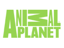AnimalPlanetHD